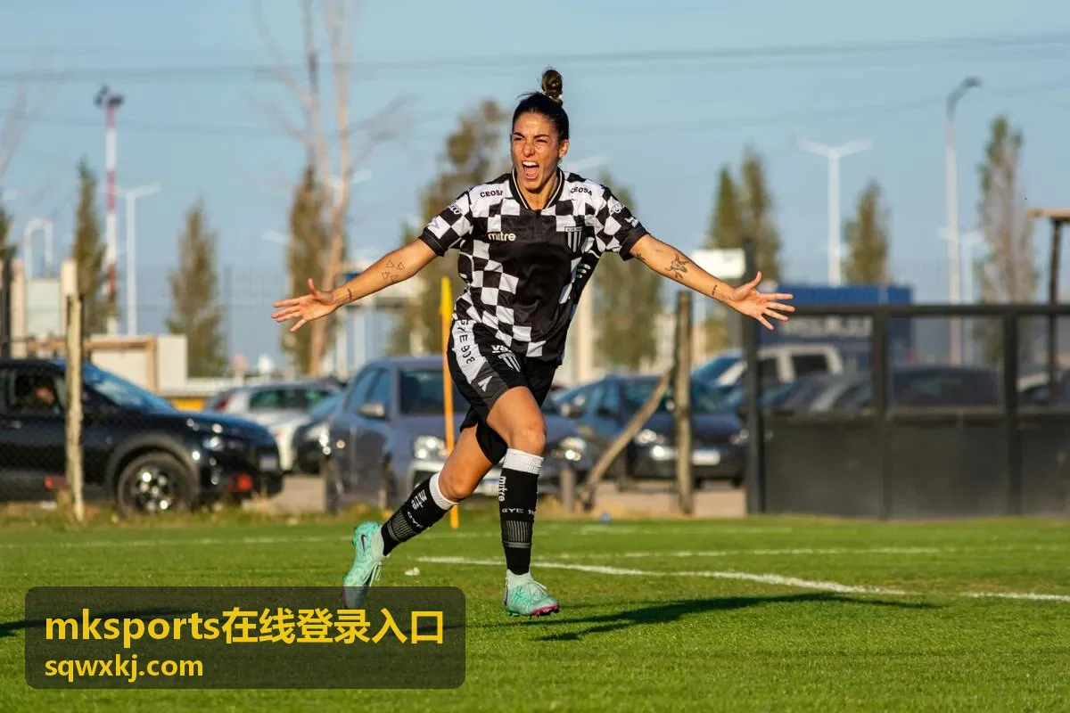 mksports在线登录入口页面示意