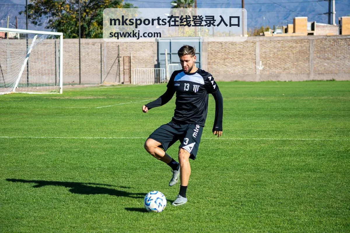 mksports在线登录入口页面地址确认与登录按钮位置示意