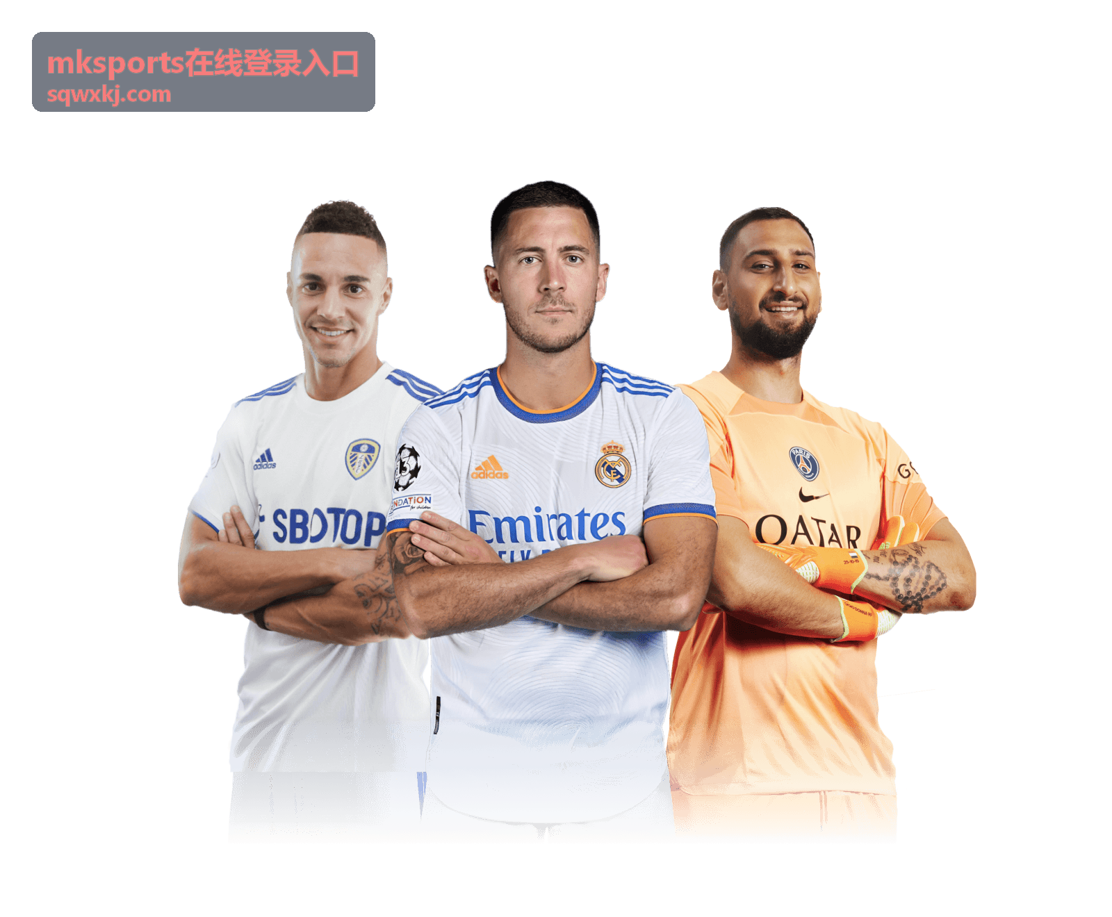 mksports在线登录入口登录成功后需要核对的账号设置项